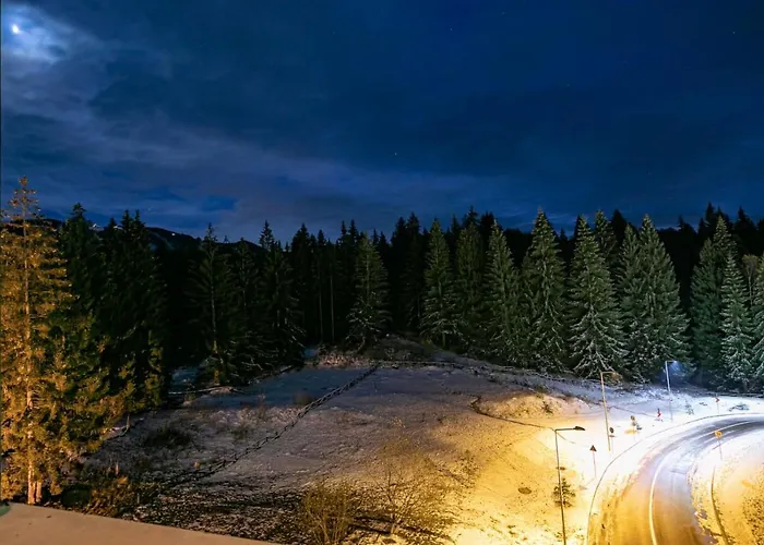 Anastasia Mountain Apartment - Poiana Brasov